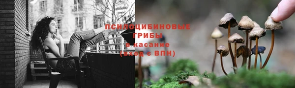 гашиш Ельня