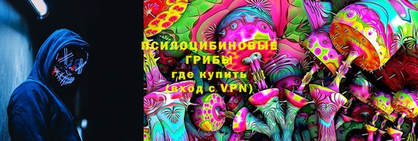 дмт Заволжск