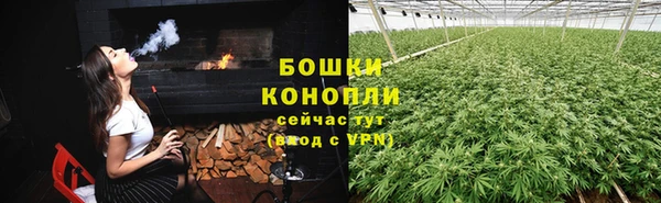 дурь Заводоуковск